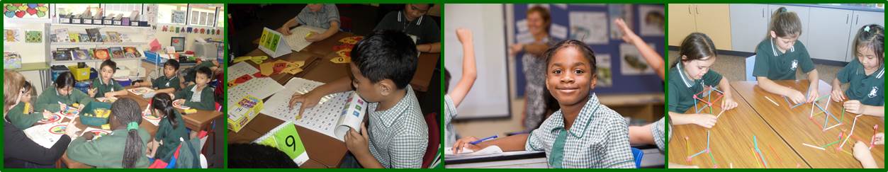 curriculum 4.jpg
